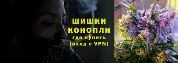 мдпв Володарск
