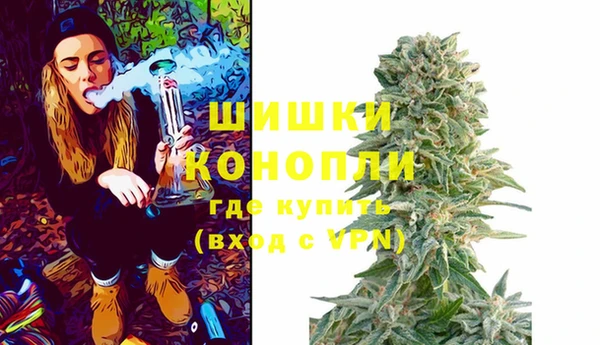 мдпв Володарск