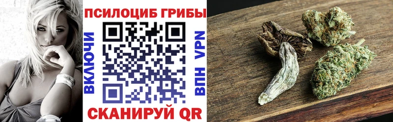 где найти   Дубовка  Галлюциногенные грибы мухоморы 